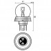 R2 Αλογόνου 12V 45/40W P45t Ασύμετρη R2 Αλογόνου 12V 45/40W P45t Ασύμετρη