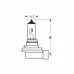 Λάμπα Osram H11 12V 55W PGJ19-2 Λάμπα Osram H11 12V 55W PGJ19-2