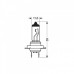Λάμπα Οsram H7 12V 55W PX26d Osram Special Line All Season