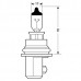 HB1/9004 65/45W 12V Λάμπα Αλογόνου HB1/9004 65/45W 12V Λάμπα Αλογόνου